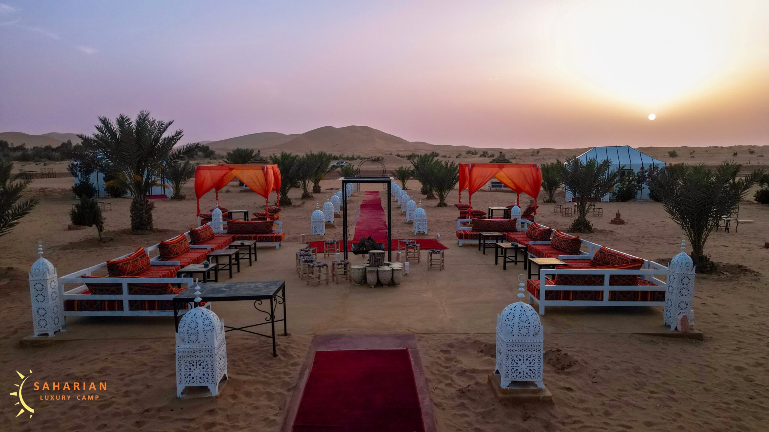 The Night